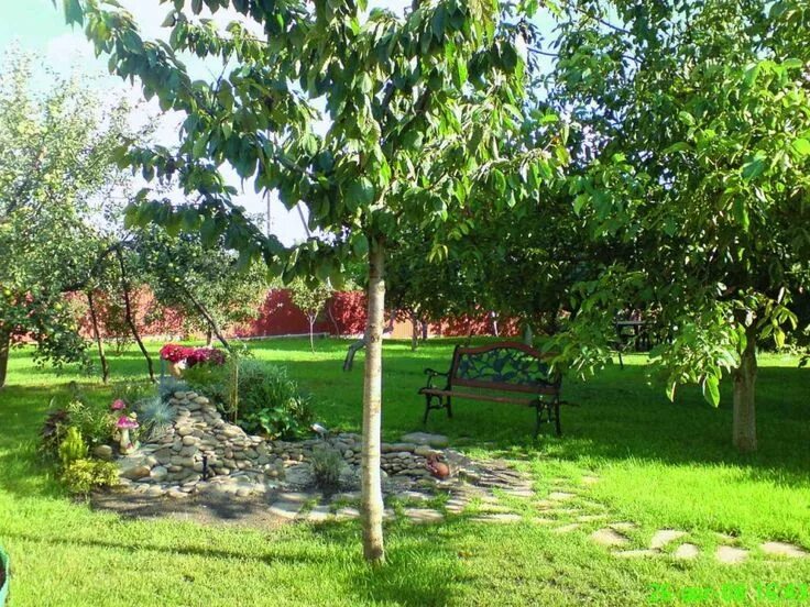 Плодовый сад на участке фото планирование фруктового сада Плодовый сад #yandeximages Garden arch, Outdoor str