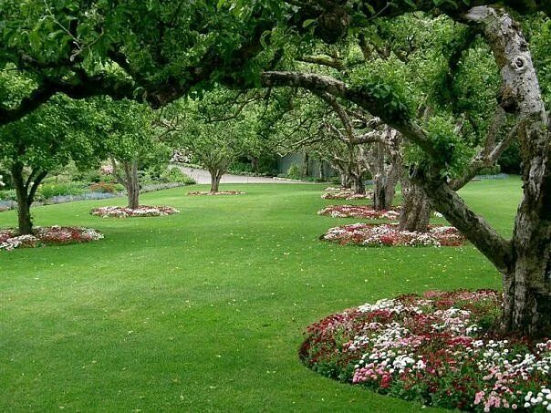 Плодовый сад в ландшафтном дизайне Pin on Jardín con piedras Outdoor decor, Outdoor, Garden