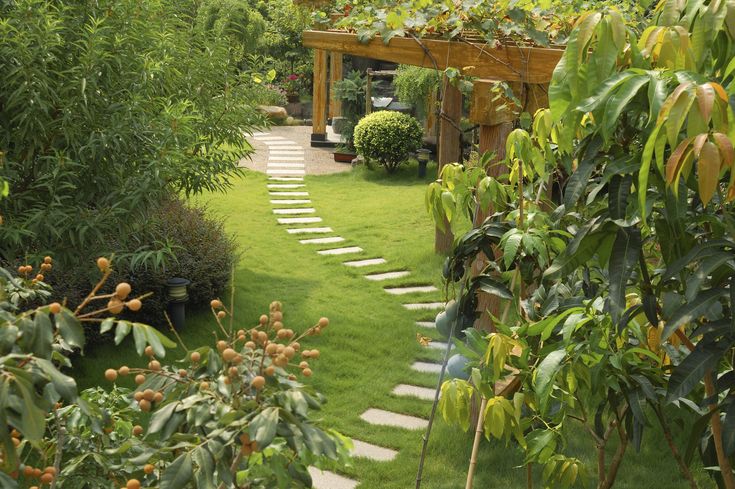 Плодовый сад в ландшафтном дизайне Designer Ideas for Environment Friendly Gardens - Designbuzz Backyard landscapin