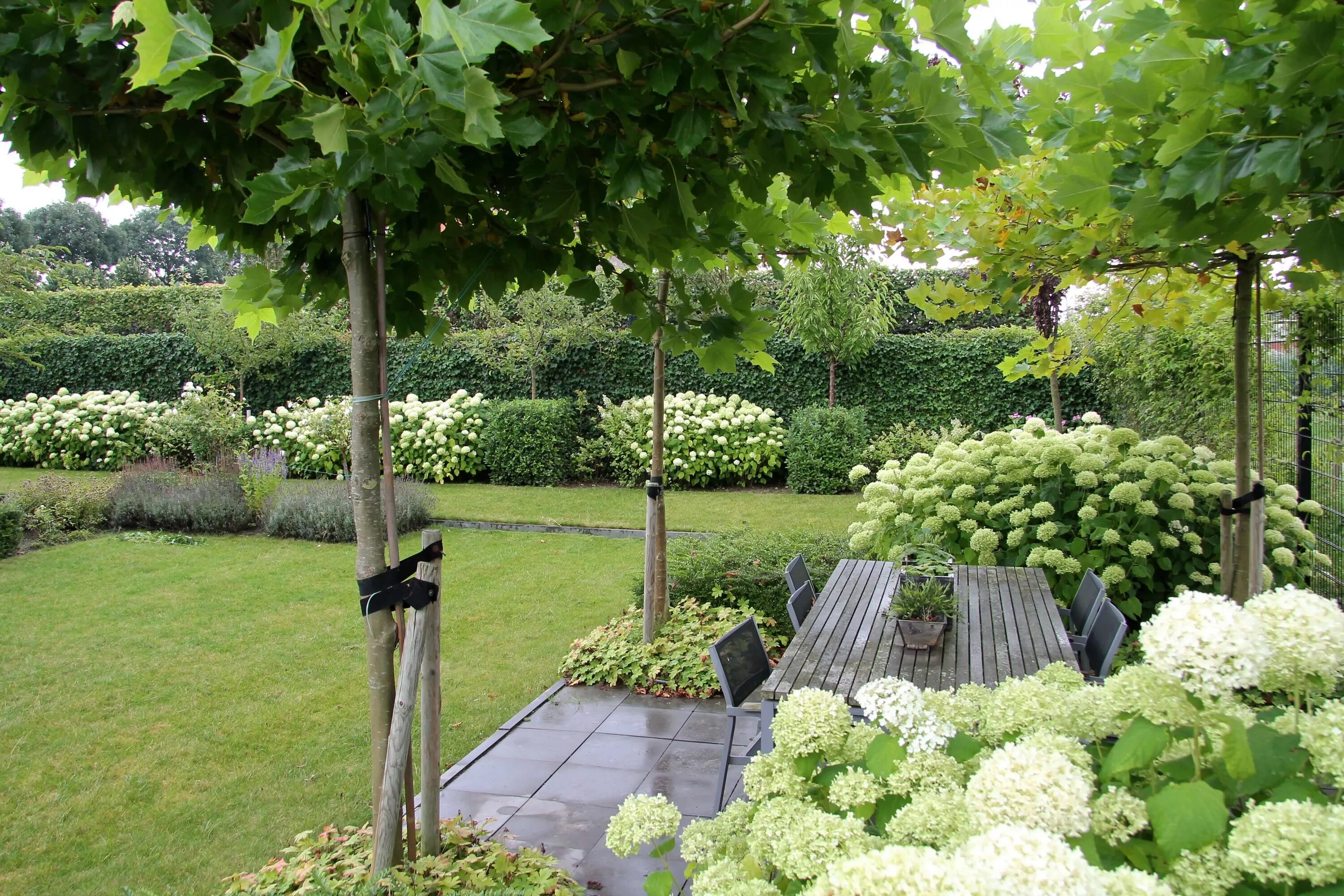 Плодовый сад в ландшафтном дизайне Gerelateerde afbeelding Tuin ideeën, Tuin, Groene tuin