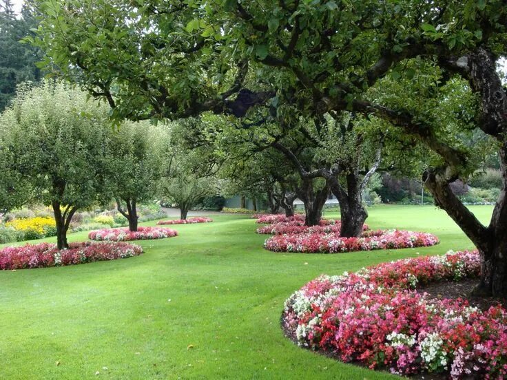 Плодовый сад в ландшафтном дизайне Entertaining From an Ethnic Indian Kitchen: Butchart Gardens II Landscaping arou