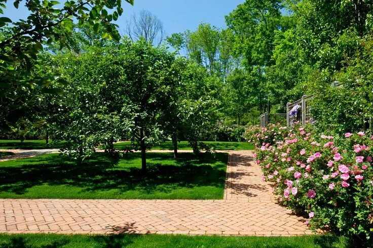Плодовый сад в ландшафтном дизайне NJ Landscapes, Landscapes Northern NJ, Central NJ Landscapes, Landscape New Jers