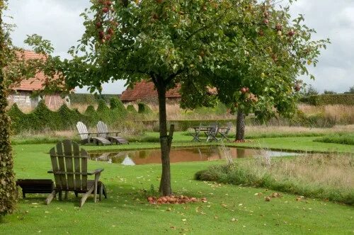 Плодовый сад в ландшафтном дизайне Orchard calm at Jardin Plume., September 2011 Garden inspiration, Garden design,
