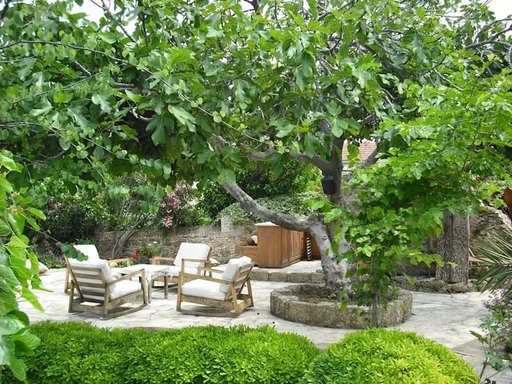 Плодовый сад в ландшафтном дизайне Feng shui, revelation-fengshui homify Jardin feng shui, Amenagement jardin, Jard
