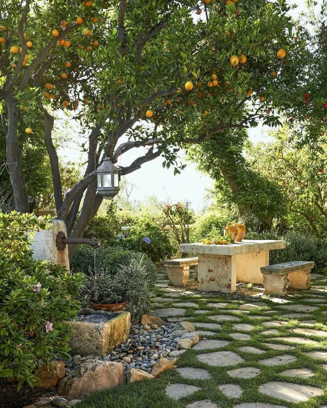 Плодовый сад в ландшафтном дизайне Pin by Chris Rutherford on Gardens and courtyards Courtyard gardens design, Smal