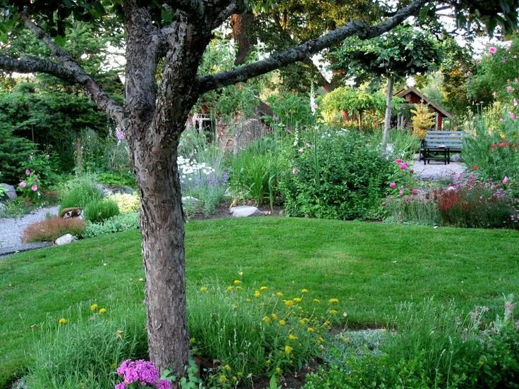 Плодовый сад в ландшафтном дизайне фото LÄNNINGE TRÄDGÅRD: 2009 Trädgård, Blommor, Gård