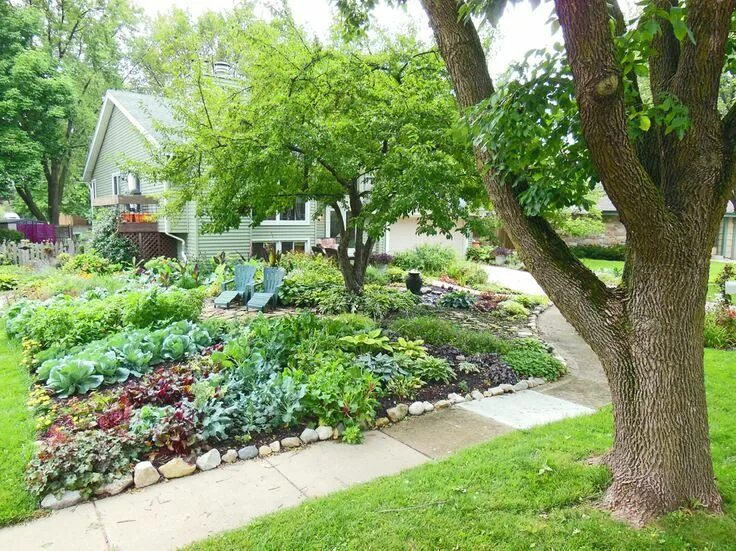 Плодовый сад в ландшафтном дизайне фото Front Lawn Vegetable Garden Vegetable garden design, Garden layout, Backyard veg