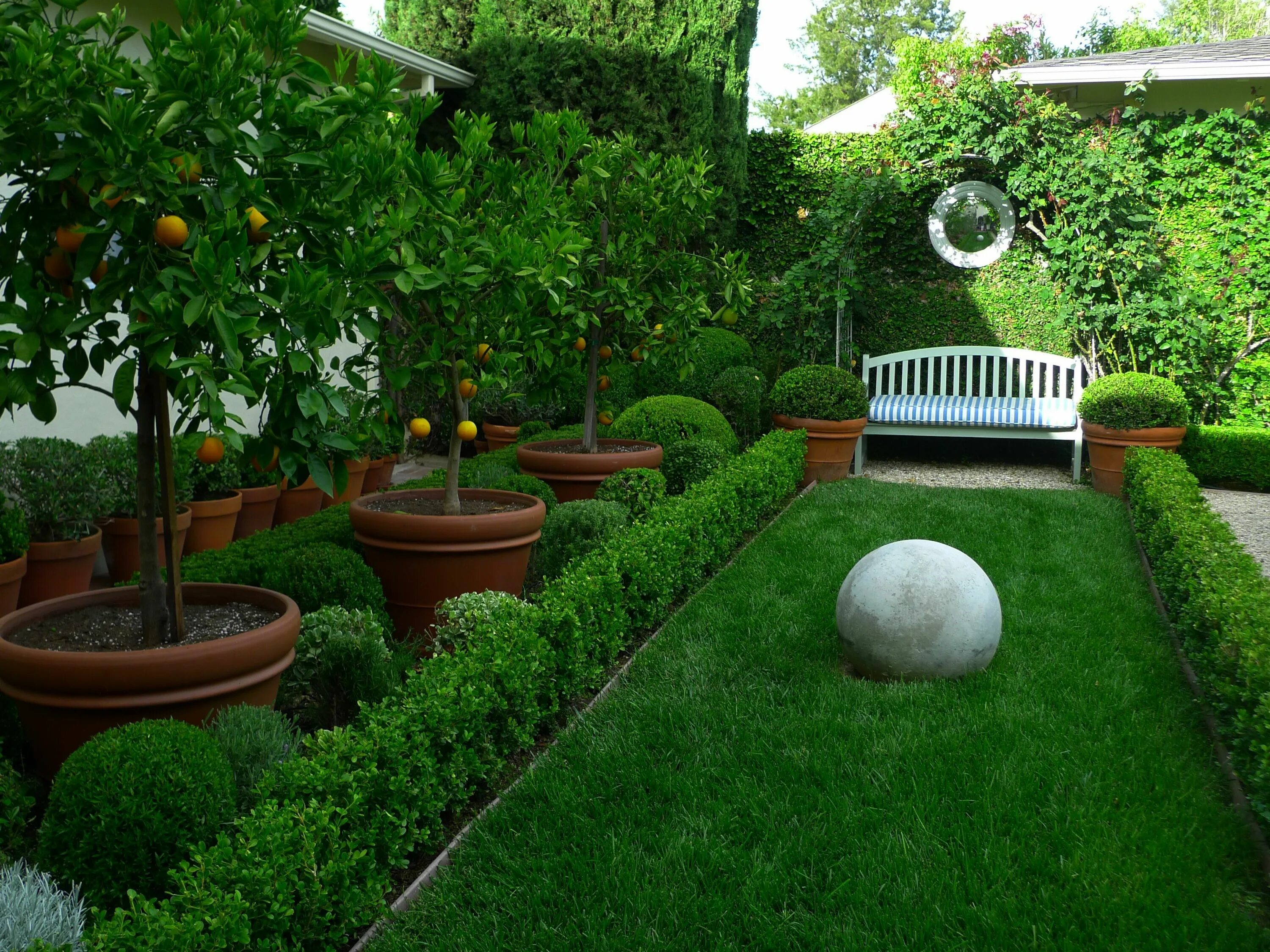 Плодовый сад в ландшафтном дизайне фото I want this in my front yard instead of foundation plantings. Fruit trees!! Tree