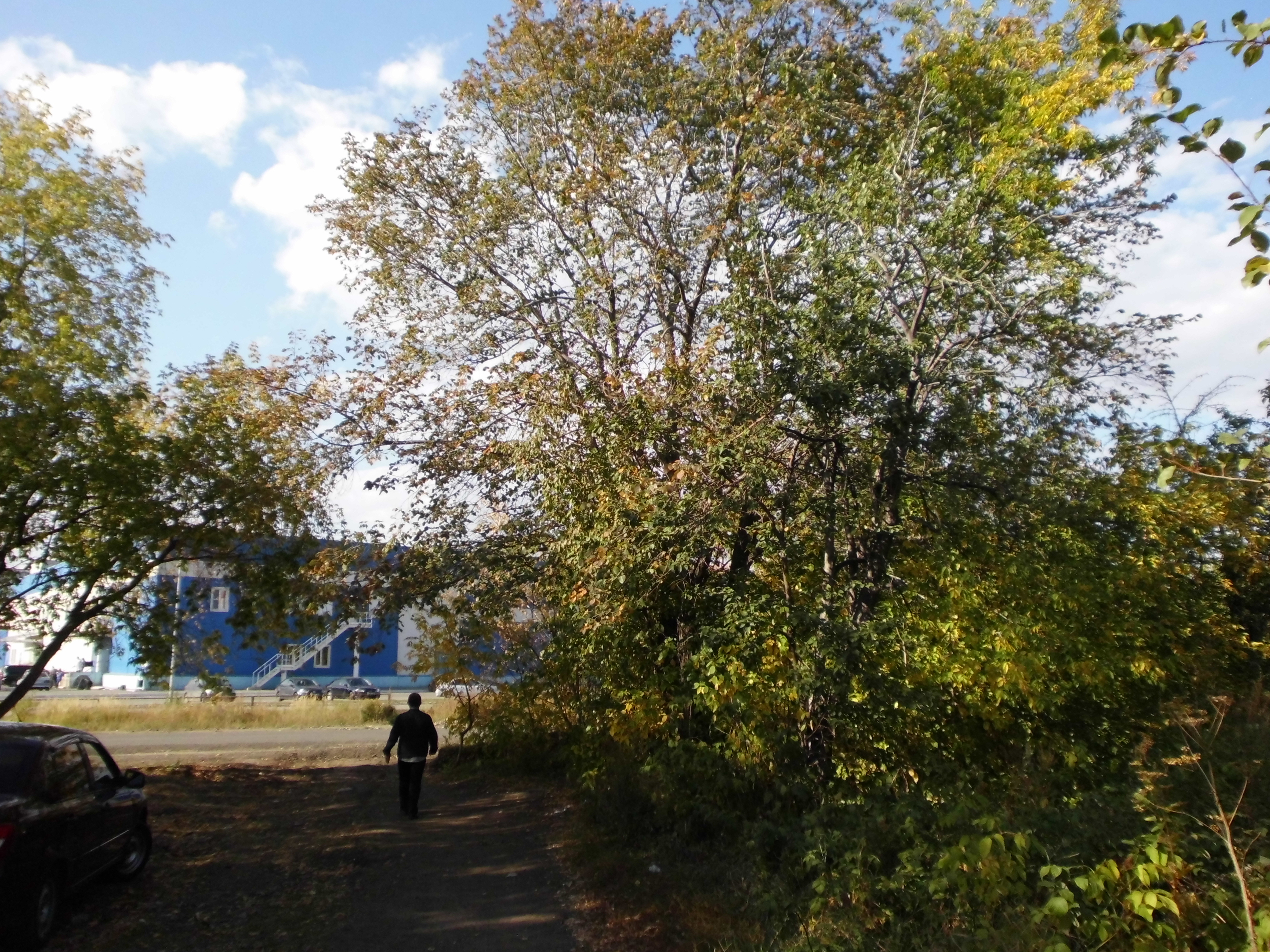 Плодушка челябинск фото File:Плодушка (остатки) - Челябинск f044.jpg - Wikimedia Commons