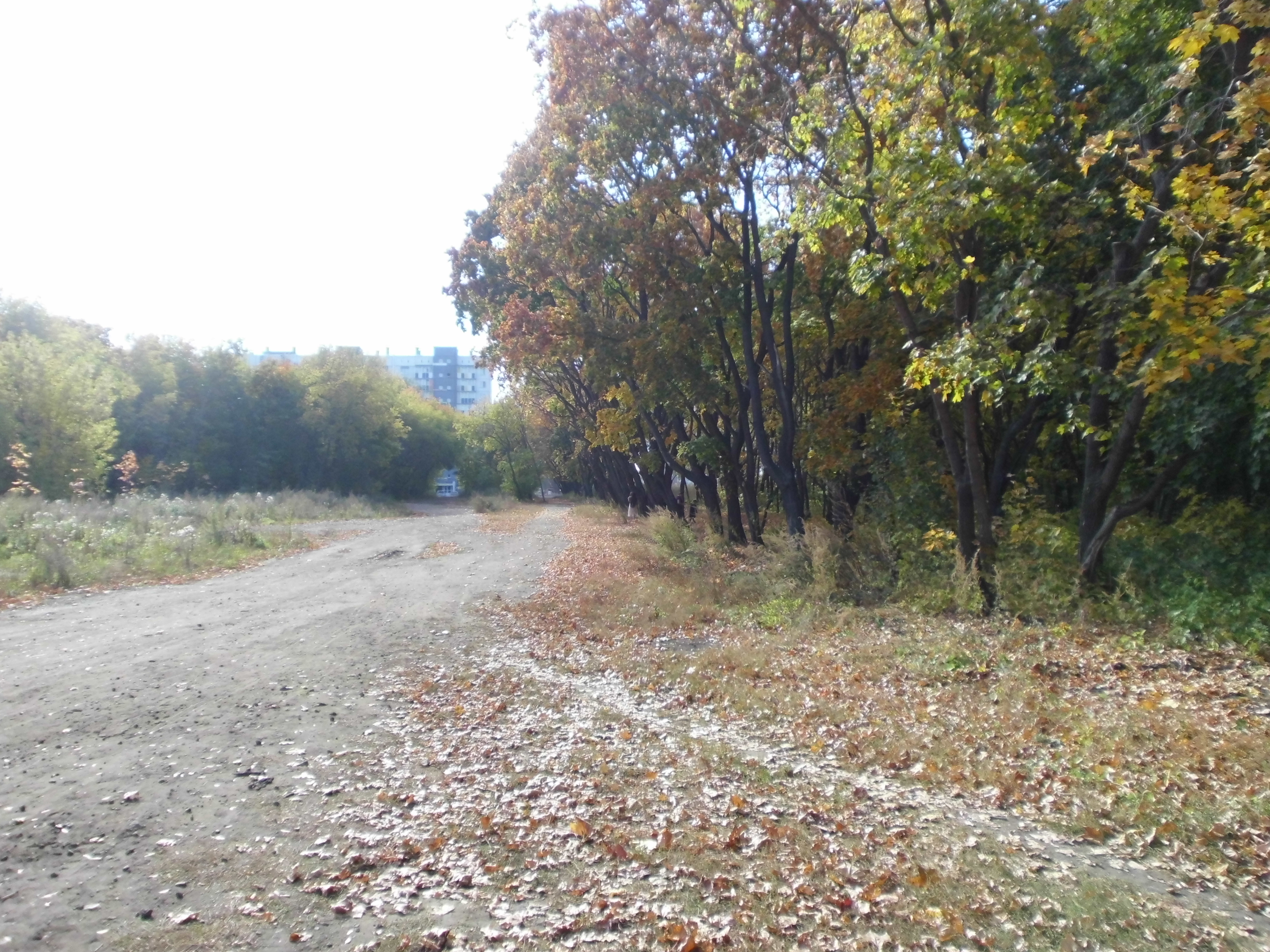 Плодушка челябинск фото File:Плодушка (остатки) - Челябинск f046.jpg - Wikimedia Commons