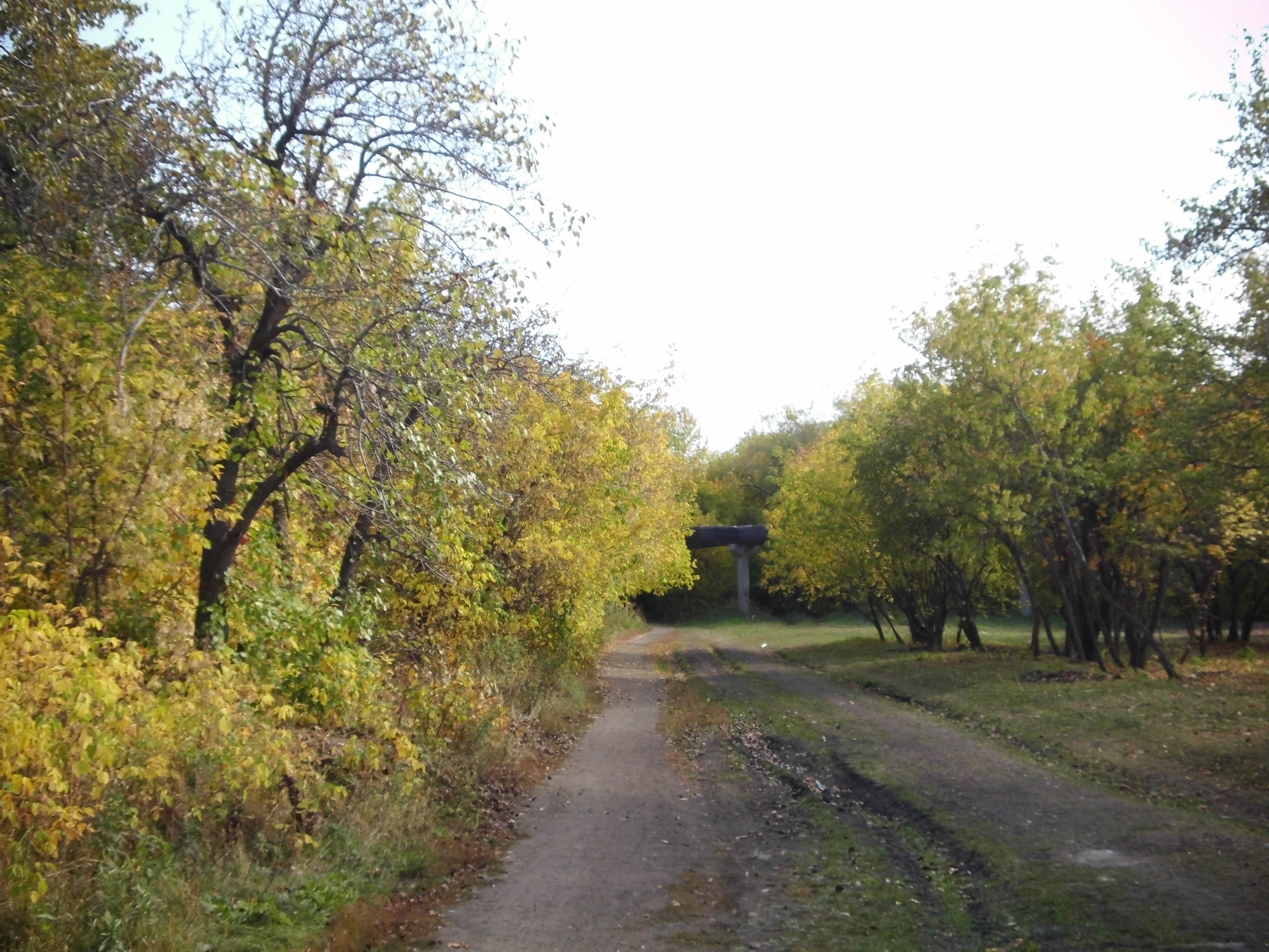 Плодушка челябинск фото File:Плодушка (остатки) - Челябинск f019.jpg - Wikimedia Commons