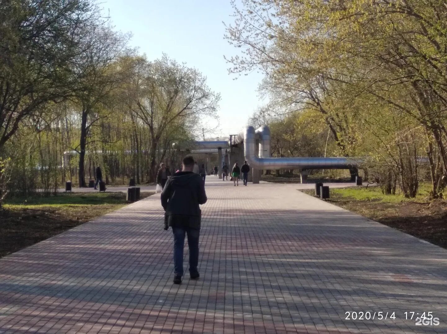 Плодушка челябинск фото Осенняя палитра: кленовая роща Плодушки в Челябинске Природные истории Фотогалер