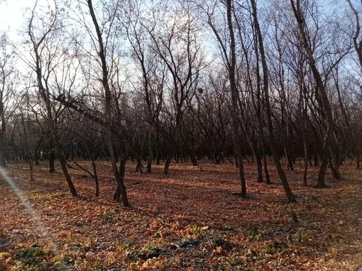 Плодушка челябинск ул гранитная фото Челябинск плодушка ленинский: найдено 88 изображений
