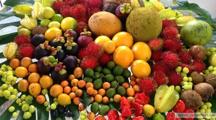 Плоды фруктов фото Farmers' Markets: A Growing Trend Fruit, Puerto rico, Tropical fruit