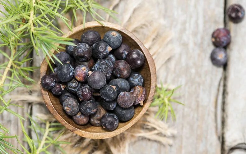 Плоды можжевельника фото Benefici delle bacche di ginepro Botox, Healthy digestion, Nutrition