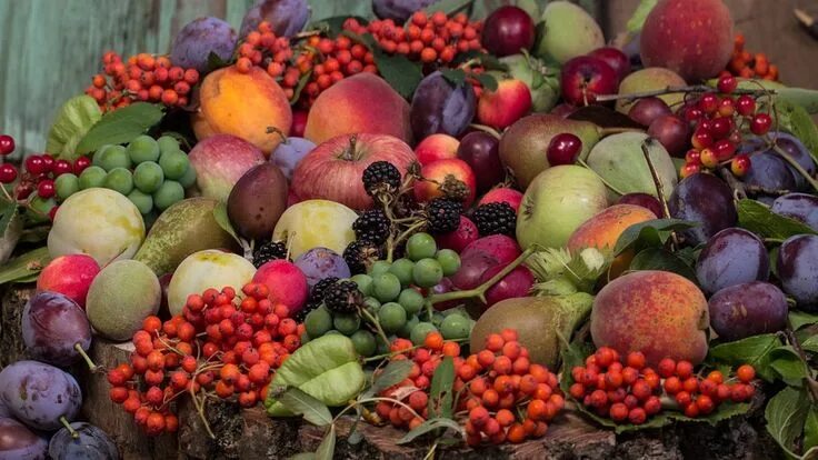 Плоды осени фото Fruit Grapes Apples - Free photo on Pixabay Meyve, Elmalar, Üzüm