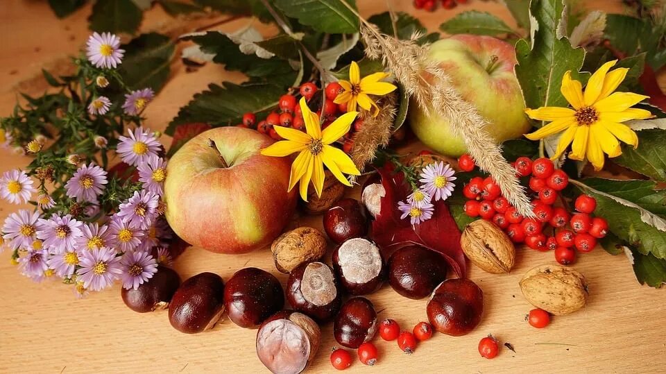 Плоды осени фото Выставка "Спас - первая встреча осени" 2018, Петропавловский район - дата и мест