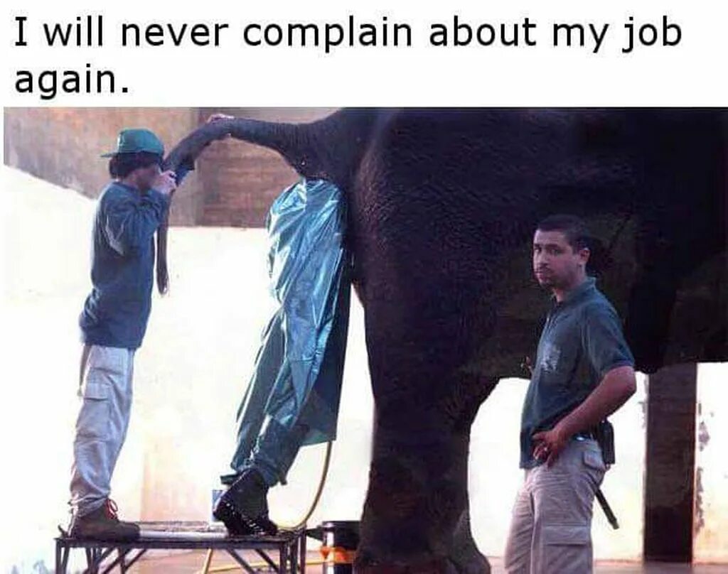 Плохая работа фото what a shitty ass job.... - Album on Imgur