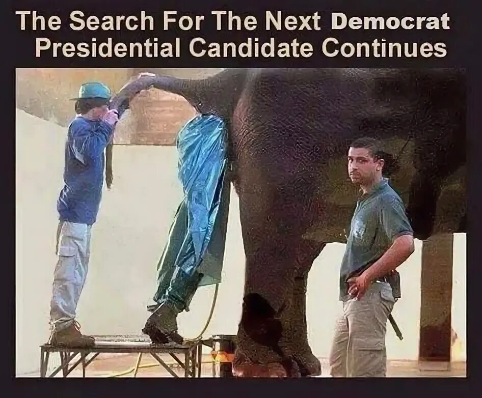 Плохая работа фото Stupid Democrats