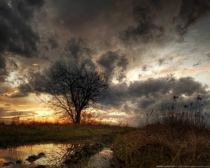 Плохие фото природы Under a steel sky WP by realityDream on deviantART The cranberries lyrics, Natur