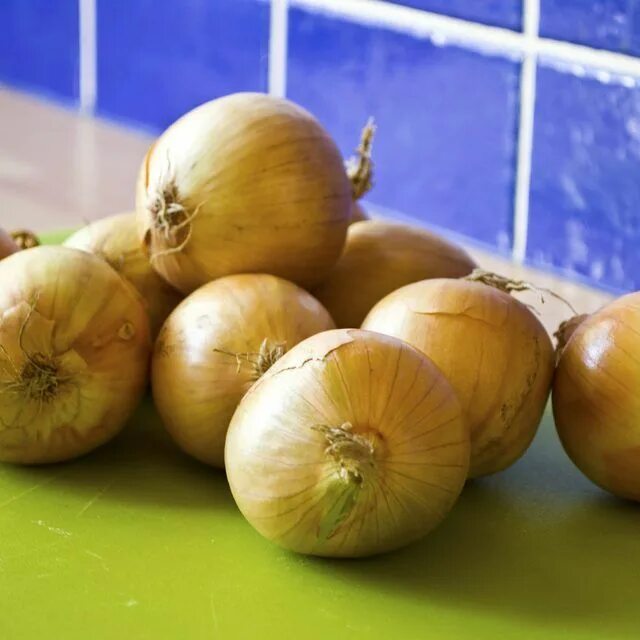 Плохой лук фото How to Tell If an Onion Is Bad Onion, Leaf tv, Food safety