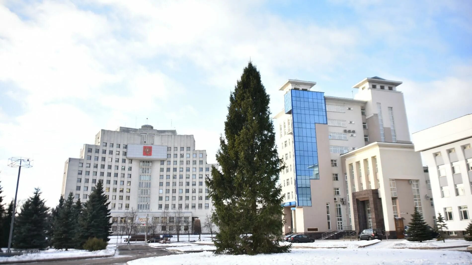 Площадь дрыгина вологда фото Ели для новогодней Вологды искали с помощью GPS-навигации. Новости Вологды. Обще