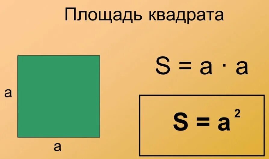 Площадь квадрата фото Геометрические фигуры Sutori