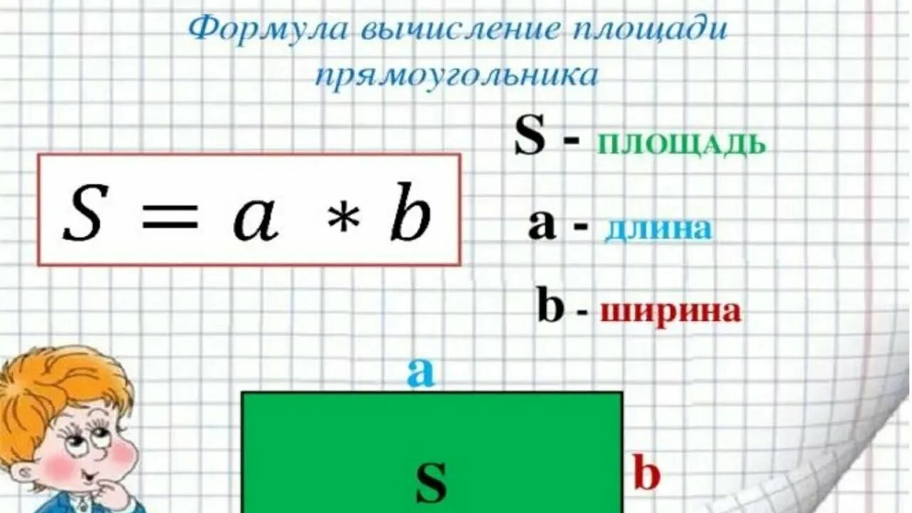Площадь прямоугольника фото математика 29.11 - YouTube