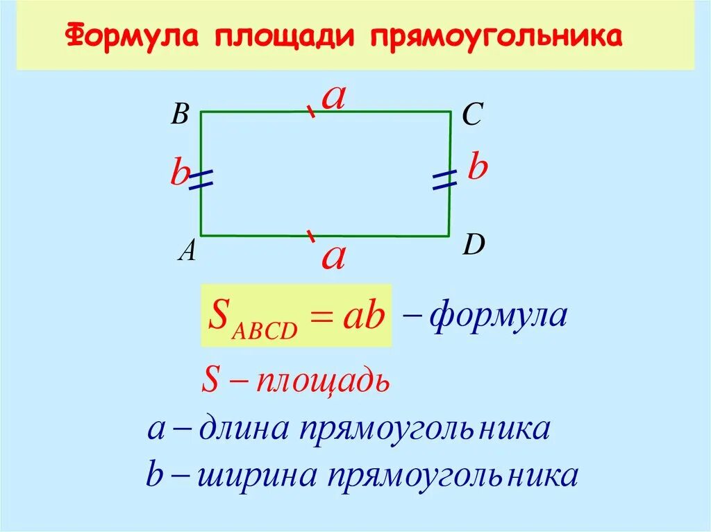 Площадь прямоугольника фото Напишите формулу площади прямоугольника