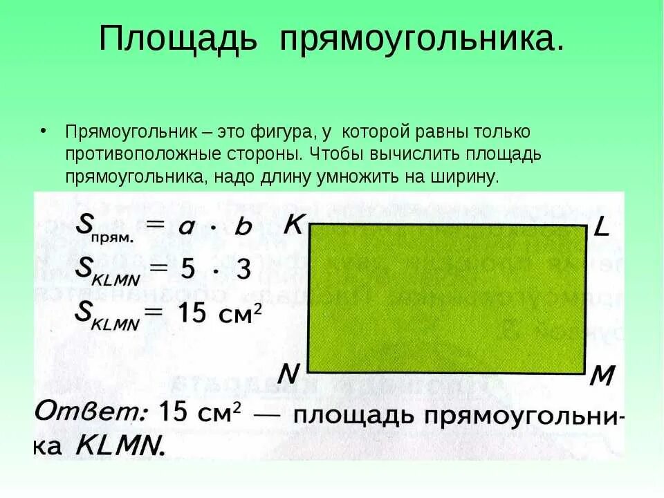 Площадь прямоугольника фото Как определить площадь фото - DelaDom.ru