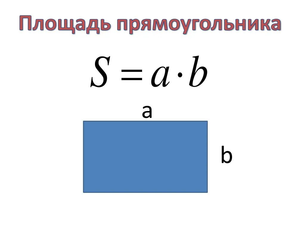 Площадь прямоугольника фото Картинки P S ПРЯМОУГОЛЬНИКА