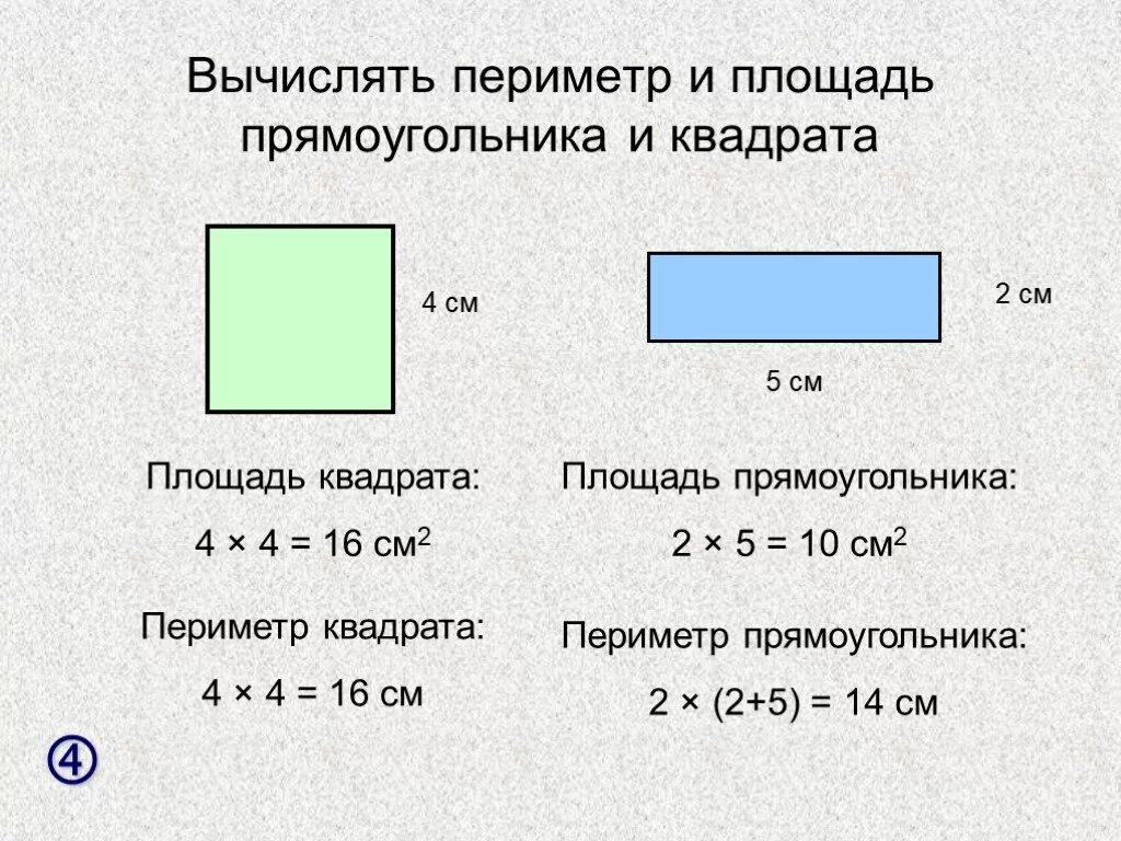 Площадь прямоугольника фото Как сосчитать площадь фото - DelaDom.ru