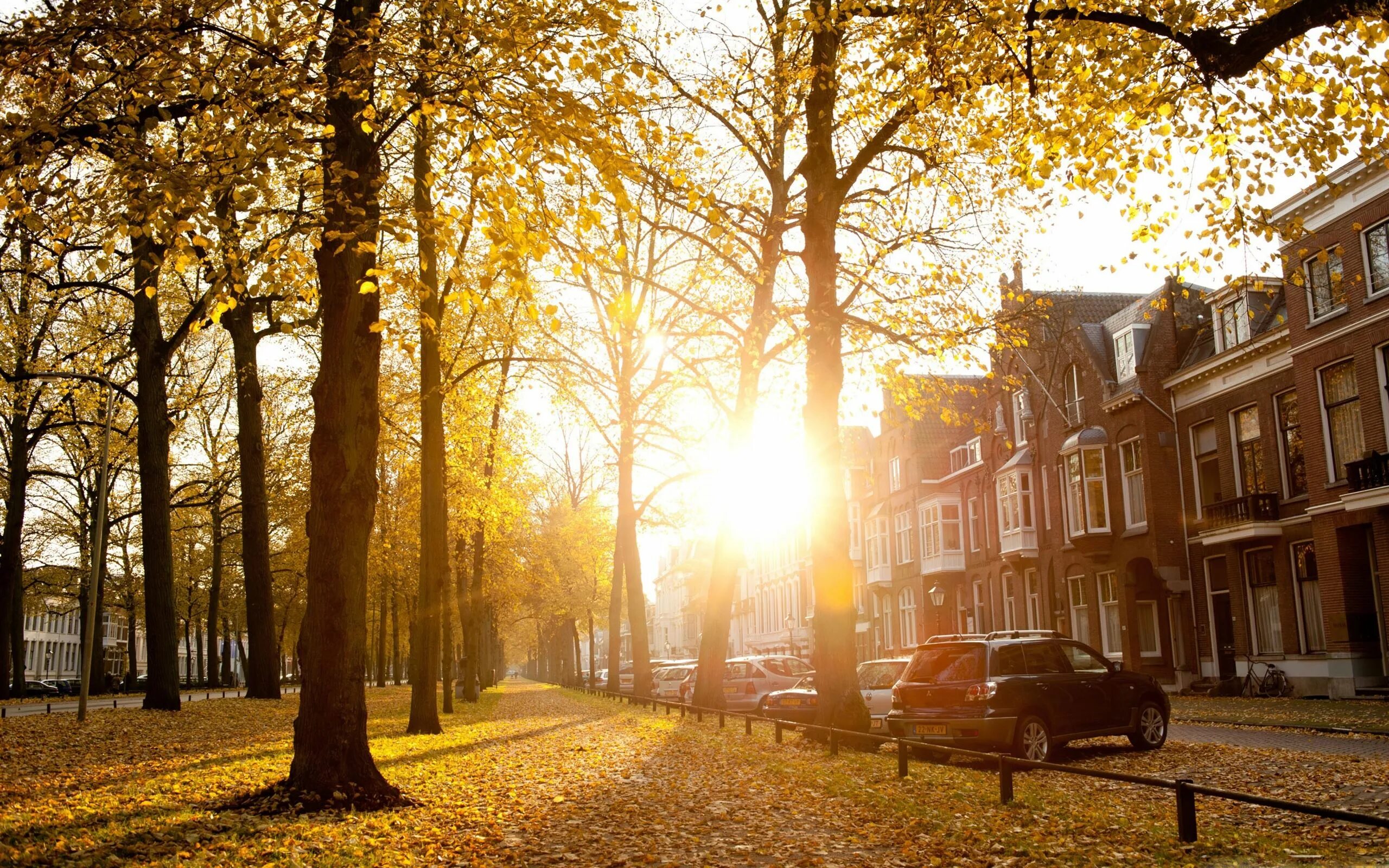 Площадь солнца в солнечном городе фото Free Autumn Mac Wallpapers, iMac Wallpapers, Retina MacBook Pro Wallpapers, MacB
