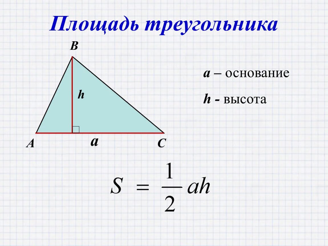 Площадь треугольника фото Площадь треугольника