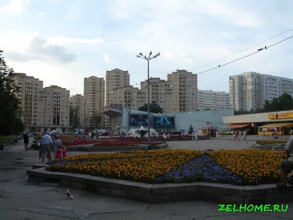 Площадь юности фото Общий вид на площадь Юности Зеленоград наш дом. Сайт Зеленограда: работа, афиша,