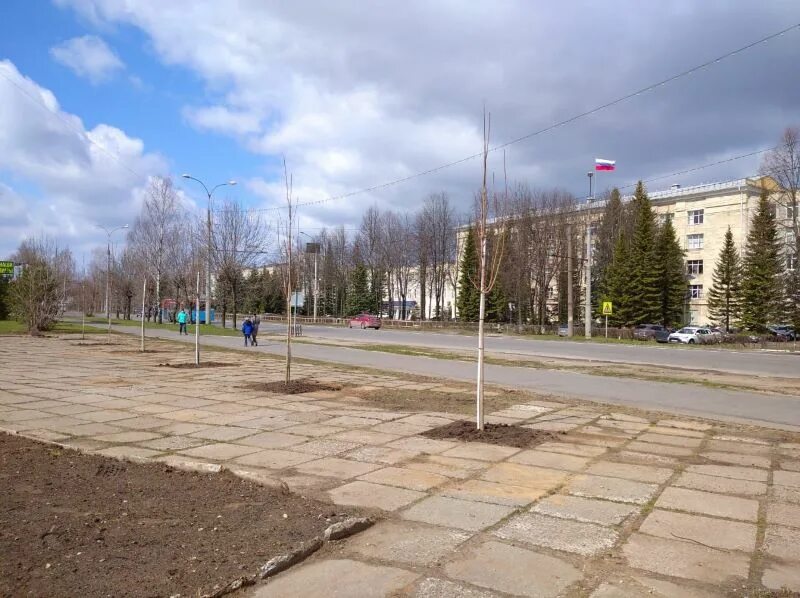 Площадь жукова фото В Рыбинске на площади имени маршала Жукова высадили клены