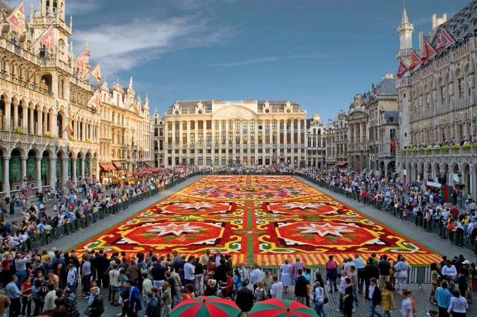 Площади мира фото This Spectacular Flower Carpet Is Made From 700,000 Begonia Petals - Brussels Fl