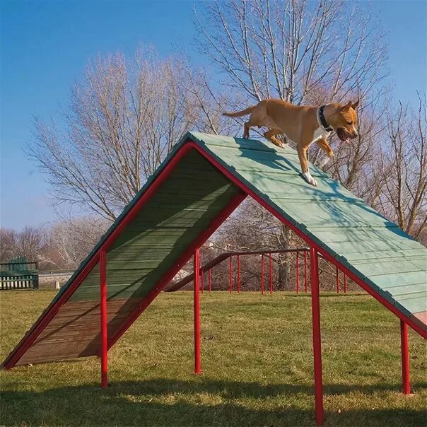 Площадка для собак фото Sites for dogs from recyclables built in Moscow In Moscow opened four sites for 