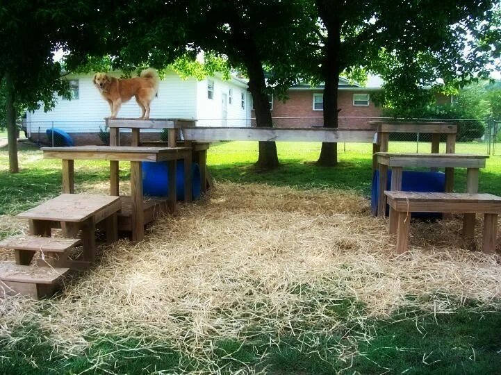 Площадка для собак фото 14Dog Backyard Playground Dog playground, Dog backyard, Dog yard ideas backyards