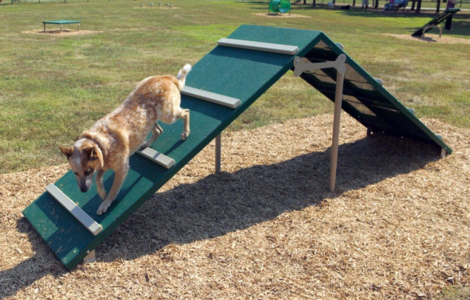 Площадка для собак фото BarkPark King of The Hill Dog Agility A-Frame, Green/Beige Dog park equipment, D