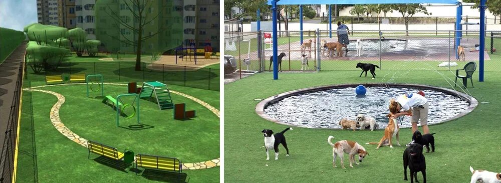 Площадка для собак фото Дог-среда: от инфраструктуры к сообществу Дог-френдли Три Места Дзен