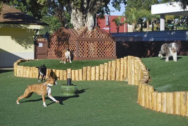 Площадка для собак фото outdoor play area multilevel with K9Grass #Cat playground outdoor play areas The
