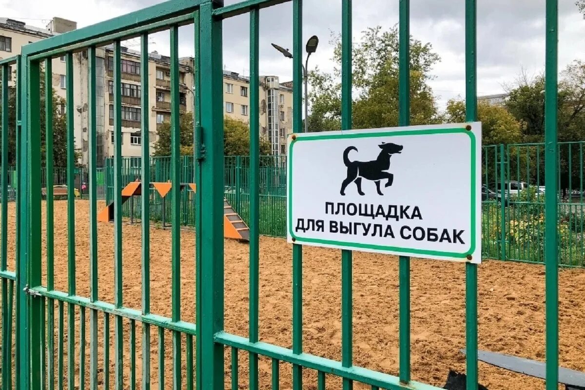 Площадка для собак фото В Ярославской области потратят 70 миллионов рублей на собачьи площадки - МК Ярос