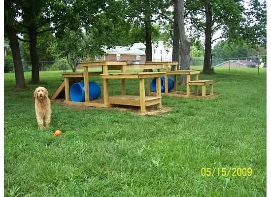 Площадка для собак фото Backyard Dog Playground - I used this for inspiration and had one of these built