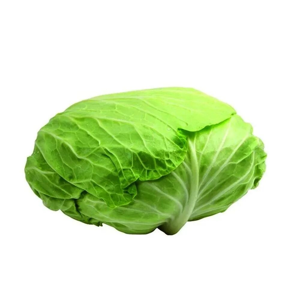 Плоская капуста фото Cabbage Middle East 5 Kg - HorecaStore