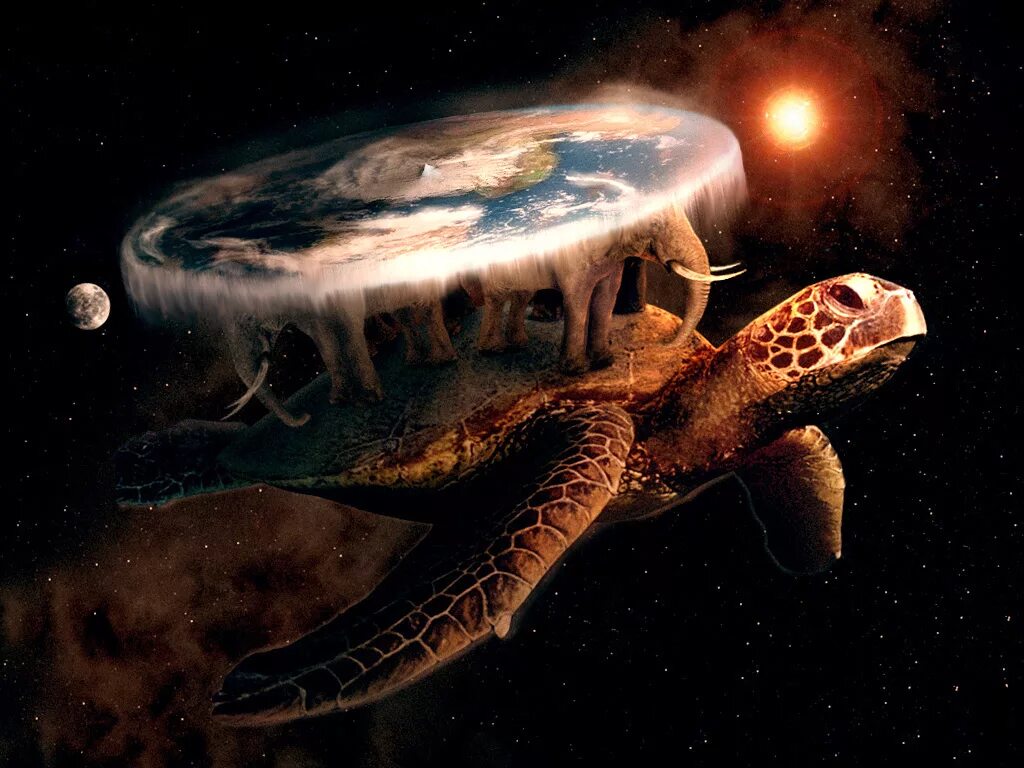 Плоская земля фото на слонах Star Turtle Alien Species Fandom
