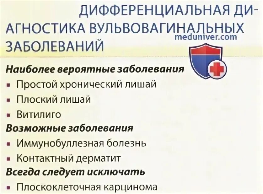 Плоский лишай вульвы фото Склеротический лишай вульвы - причины, диагностика и лечение
