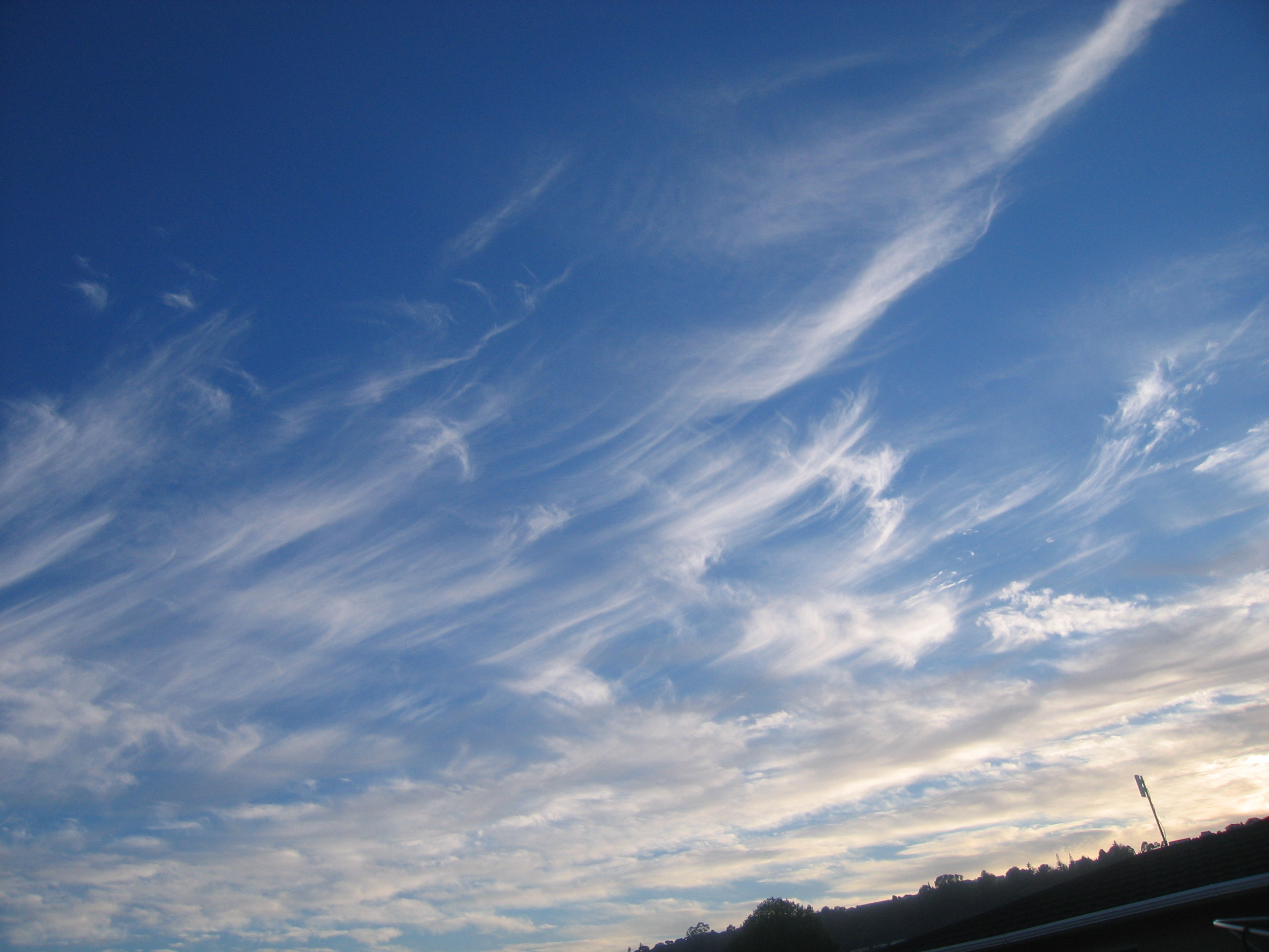 Плоское небо фото Nelson, NZ Sky Thick With Aerosol Material This Morning NORTHLAND NEW ZEALAND CH
