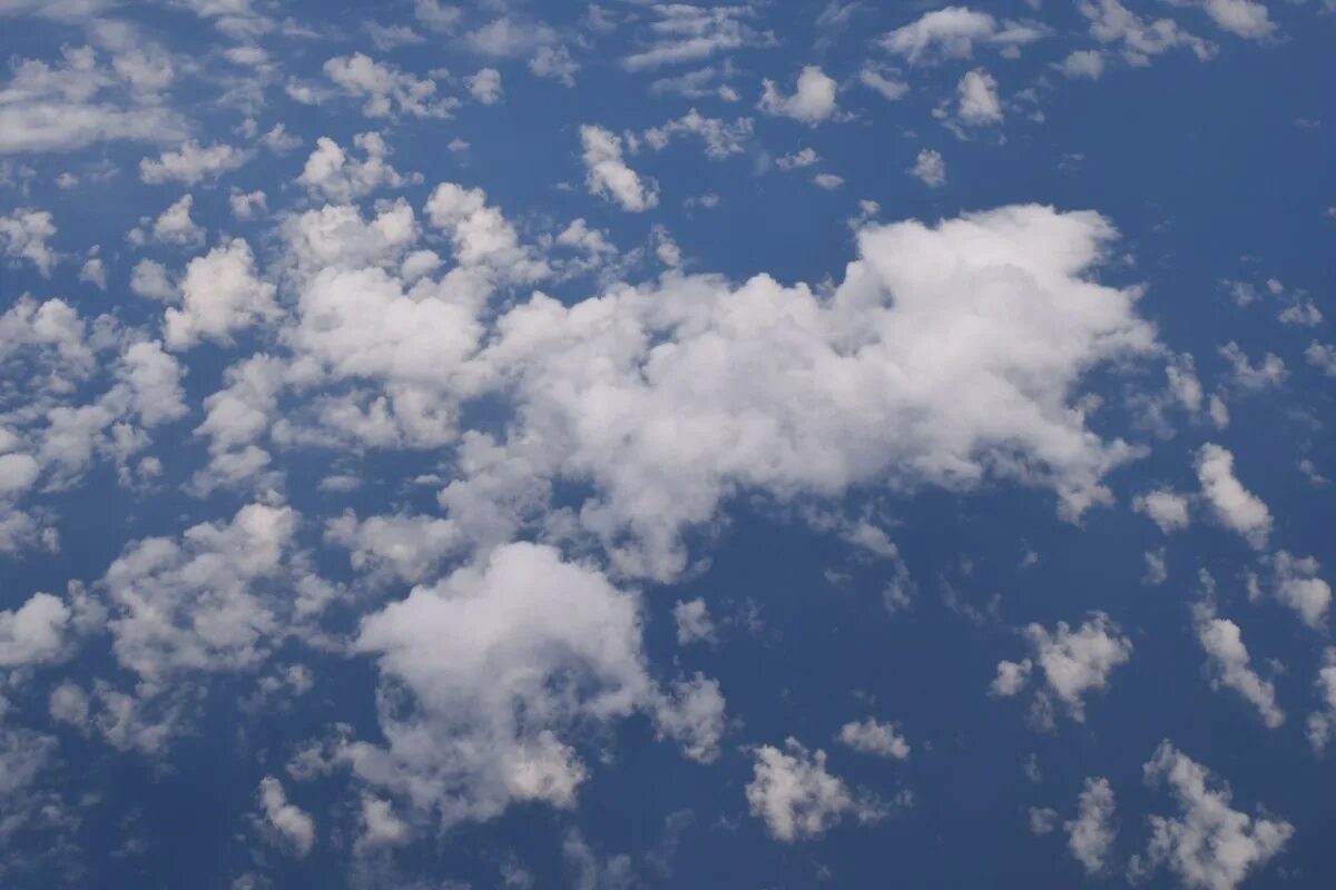 Плоское небо фото Free Images : cloud, sky, white, sunlight, daytime, flight, cumulus, blue, above