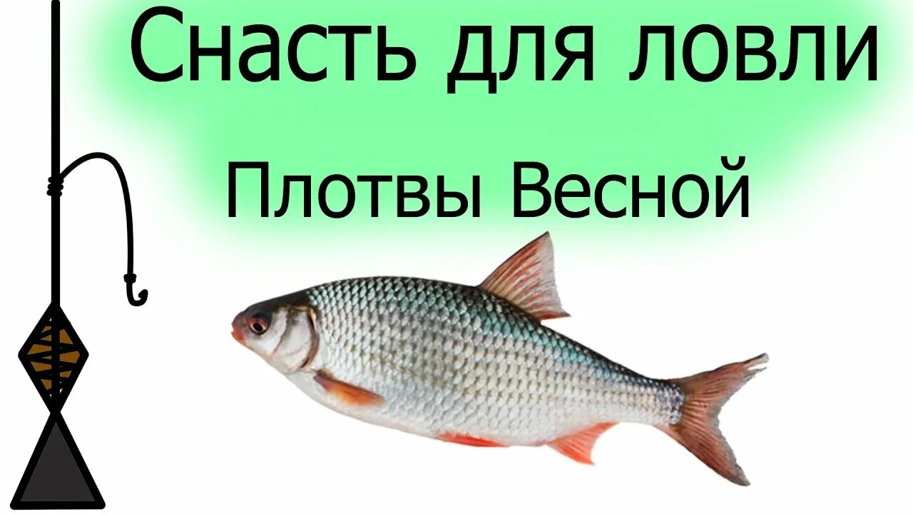 Плотва на течении оснастка Уловистая снасть на плотву весной как привязать узел чтоб не запутывался - YouTu